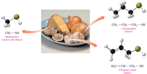 Thiols in foods: methanethiol, 1-propanethiol, 3-propene-1-thiol