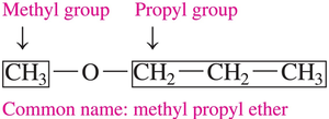 Methyl propyl ether structure