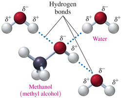 Hydrogen bonding between methanol and water
