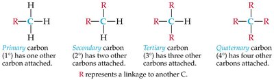 Primary, secondary, tertiary, and quaternary carbon atoms