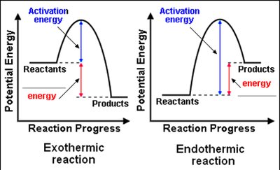 Exothermic and Endothermic Reaction Energy Diagrams