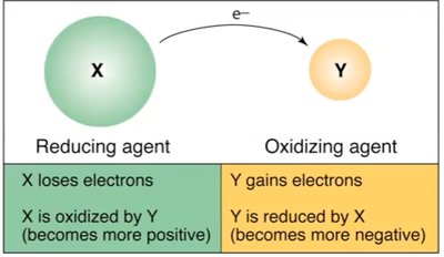 Reducing and Oxidizing Agents Diagram