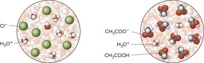 Molecular view of strong and weak acids in solution