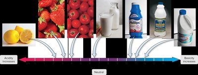 pH scale with common substances