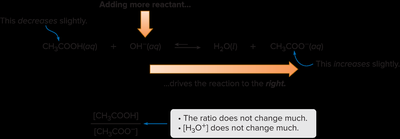 Buffer equilibrium when base is added