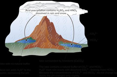 Acid rain and a naturally buffered lake