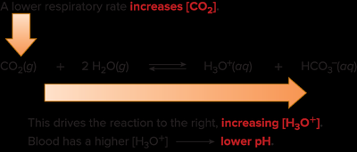 Respiratory acidosis: increased CO2 lowers blood pH