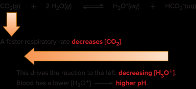 Respiratory alkalosis: decreased CO2 raises blood pH