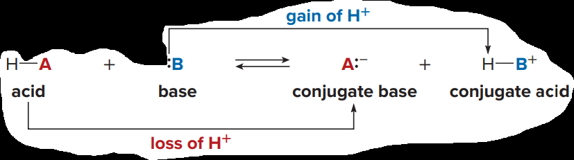 Conjugate acid-base pairs in a reaction