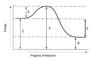 Labeled reaction energy diagram with activation energy