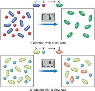 Fast and slow reaction rates illustrated with particle diagrams