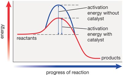 Effect of catalyst on activation energy in an energy diagram