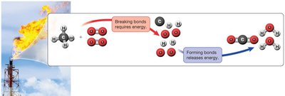 Breaking and forming bonds: energy changes in chemical reactions