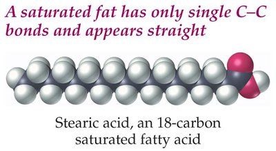 Saturated fat structure