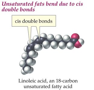 Unsaturated fat structure