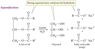 Saponification reaction
