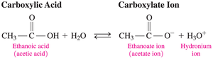 Dissociation of ethanoic acid in water to form ethanoate ion and hydronium ion