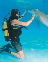 Diver underwater