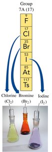 Samples of halogens