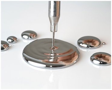 Mercury toxicity testing