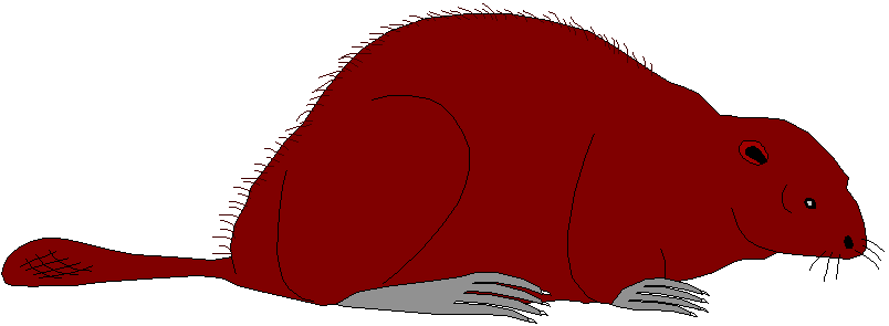 Avogadro's number visualized with baseballs and drops of water