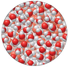 Liquid state molecular structure