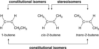 Constitutional and stereoisomers of butene