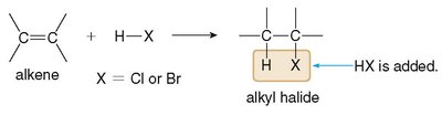 Hydrohalogenation of alkenes