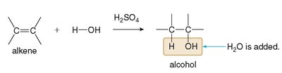 Hydration of alkenes