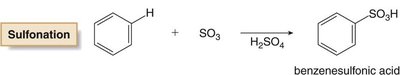 Sulfonation of benzene
