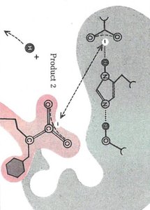 Product 2 formation