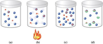 Effect of temperature, concentration, and catalysts on reaction rate