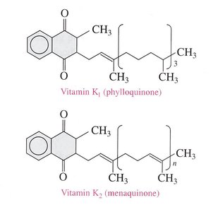 Vitamin K1 and K2 structures