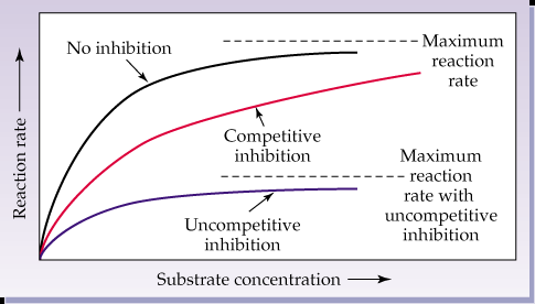 Reaction rate curves for different types of inhibition