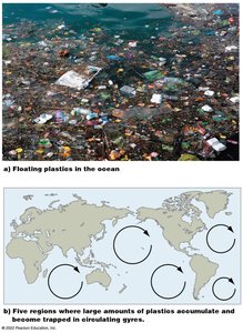 Floating plastics in the ocean and global gyres