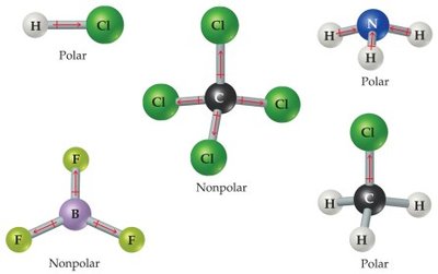 Examples of polar and nonpolar molecules