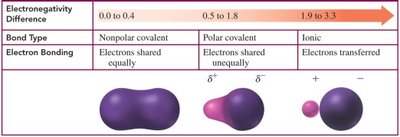 Electronegativity difference and bond types