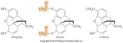 Structures of morphine, heroin, and codeine