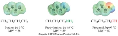 Comparison of boiling points for butane, propylamine, and propanol
