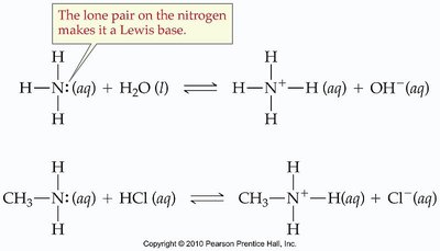 Amines acting as Lewis bases and forming ammonium ions