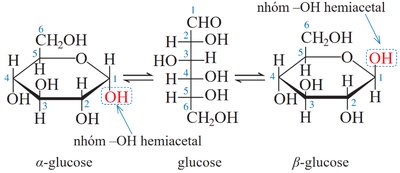 Cấu tạo phân tử glucose