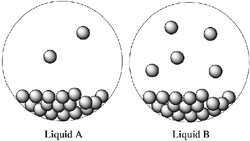 Diagram of two containers, Liquid A and Liquid B, showing different numbers of vapor particles above each liquid