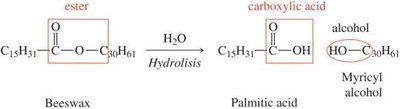 Hydrolysis of beeswax to palmitic acid and myricyl alcohol