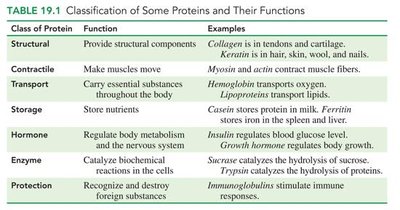 Classification of Some Proteins and Their Functions