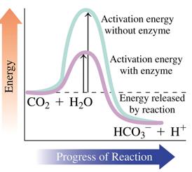 Activation energy diagram