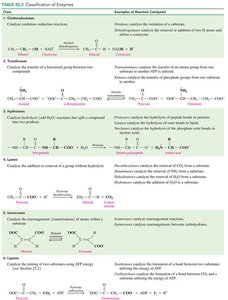 Enzyme classification table