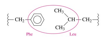 Hydrophobic interaction