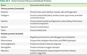 Common fibrous and globular proteins table