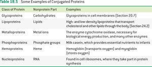 Conjugated protein structure
