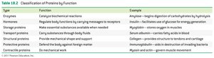 Classification of proteins by function